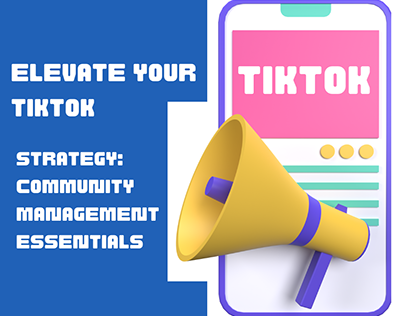 TikTok Strategy: Community Management