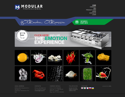 Modular Website