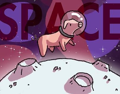 SPACE PIG