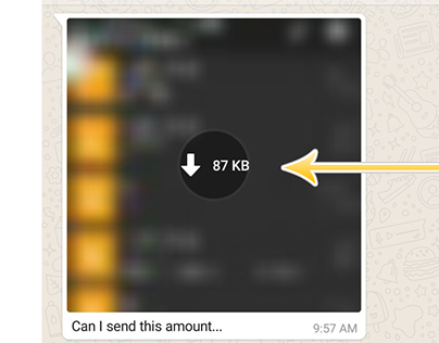Whatsapp Hidden Issues - UI