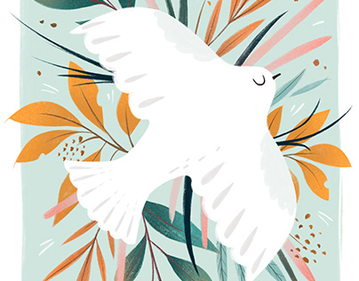 Gracious Dove - Illustration