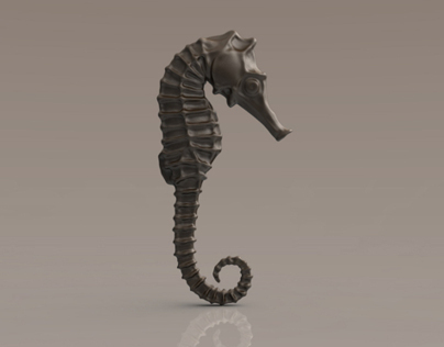 Seahorse Project