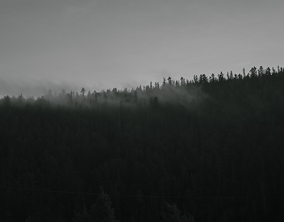 Magic foggy mountain view