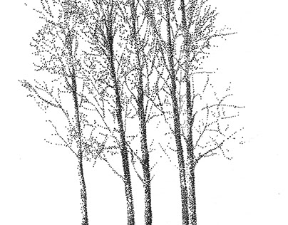 Poplars