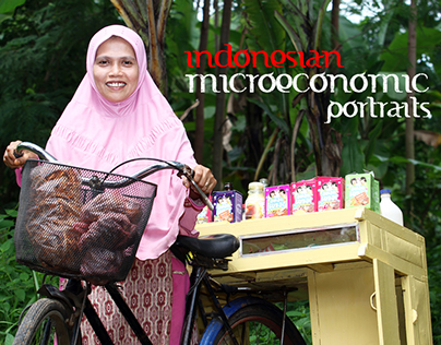Indonesian Microeconomic Portraits
