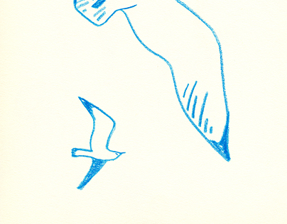 drawing_bird