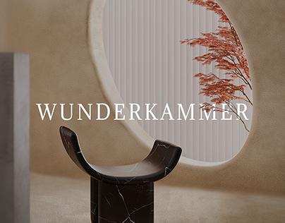 WUNDERKAMMER - Imaginary space for a real collection