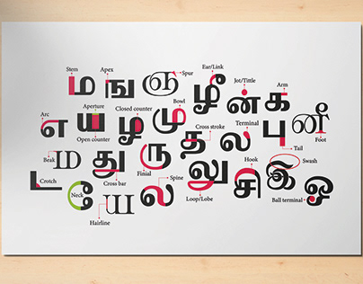 Typography anatomy | Tamil