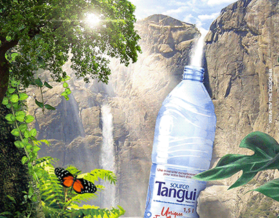 Photomanipulation Project for Tangui