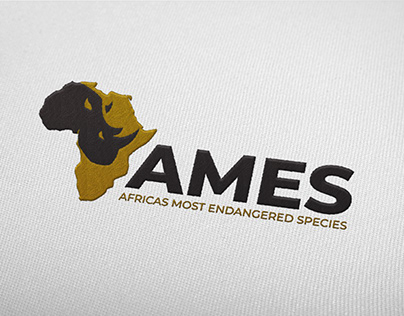 Ames Foundation