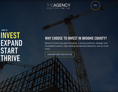 The Agency Website