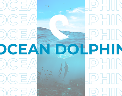 Ocean Dolphin