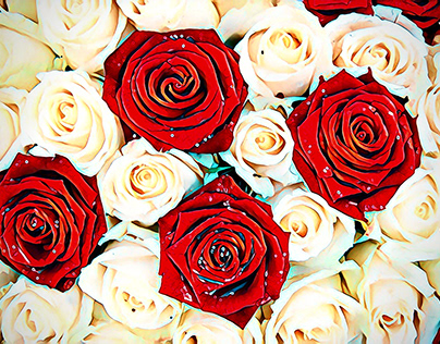 Bouquet Of Roses (Red & White Roses)