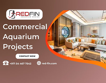 Showcase Your Business with a Commercial Aquarium