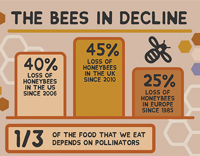 The Bees In Decline