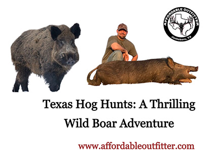 Texas Hog Hunts: A Thrilling Wild Boar Adventure