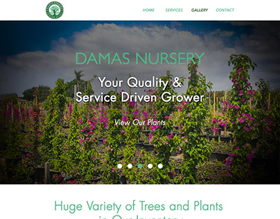 Damas Nursery Website