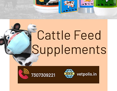 Vetpolis Cattle Feed: Nutritious Solutions