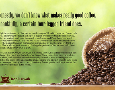 Ad Copywriting for Civet Coffee