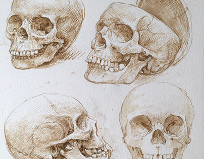 Drawing skulls