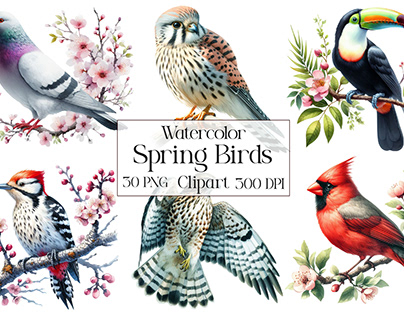 Watercolor Spring Birds PNG Clipart