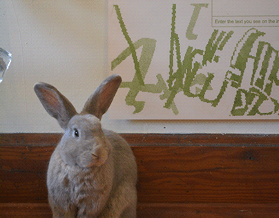 Rabbit Posters