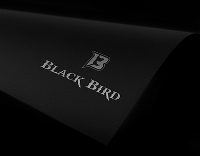 Black Bird | Brand Identity