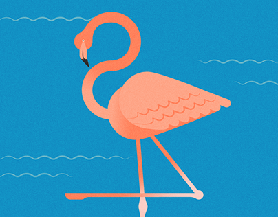 Flamingo | Illustration