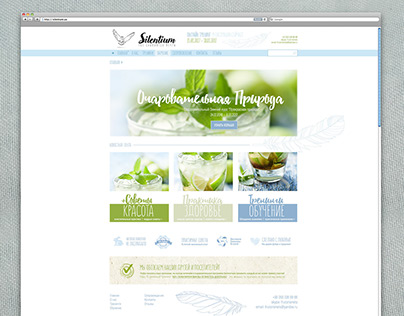 Silentium project Print identity Web design