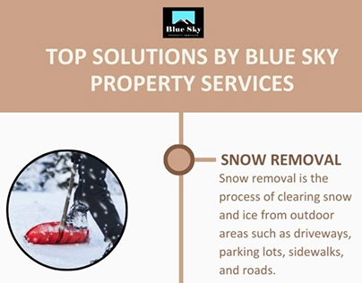 Top Solutions by Blue Sky Property Services