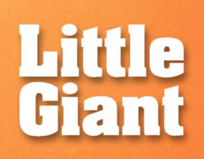 Little Giant: Wobble Free