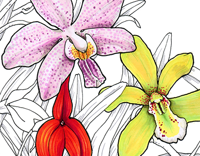 Botanical sketches #3