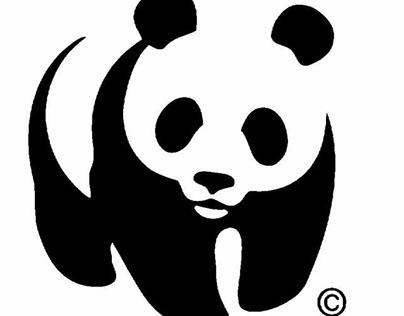 WWF (Internship)