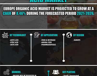Europe Organic Acid Market