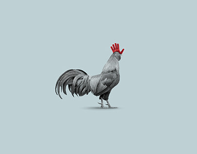 The Rooster and...