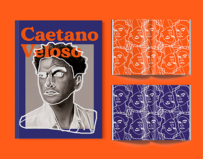 Livro Caetano Veloso - Biografia