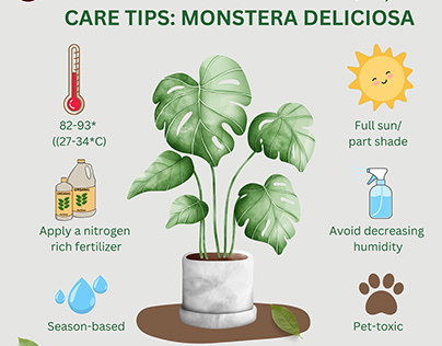 Fun facts about monstera about monstera deliciosa