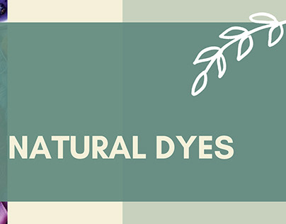 Study on natural dyes