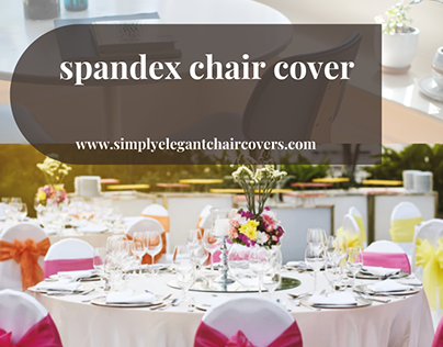 Check Out Our Spandex Chair Cover