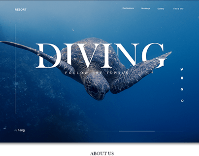 Diving website