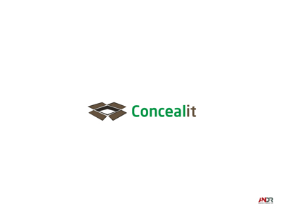 Conceal It - Logo Design