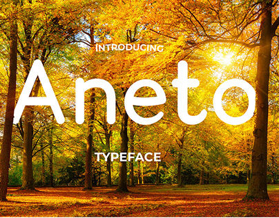 Aneto Typeface