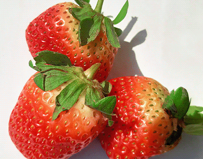 Strawberry Photographs