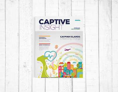 Captive Insight 2017