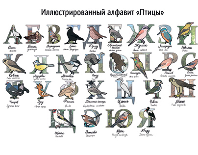 Иллюстрированный алфавит "Птицы"