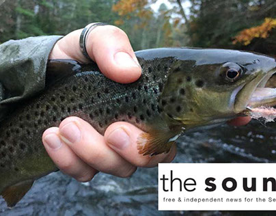 Winter Fishing for Trout in NH, the SoundNH