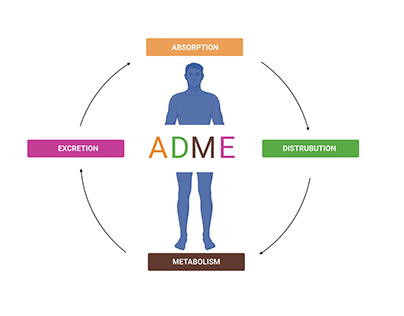 Pharmacology: ADME