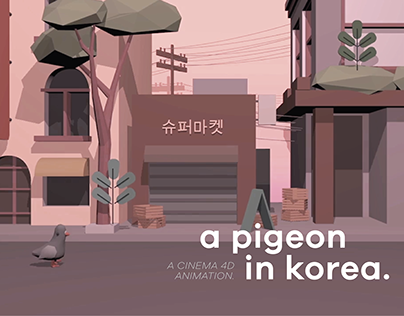 A pigeon in Korea - Cinema 4D