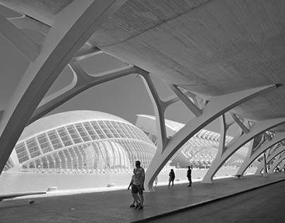 Shade zone - City of Arts and Sciences