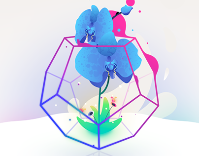 Orchid on Dodecahedron